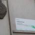 Городской парк благоустраивают к майским праздникам